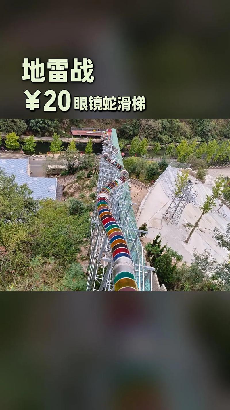 游客景区玩滑梯时 有蛇“从天而降”