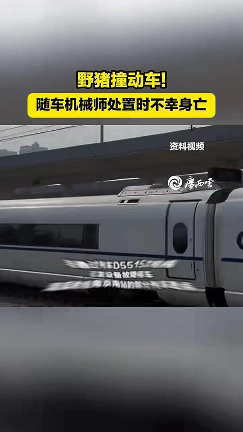 湖北松滋一客运火车撞上野猪