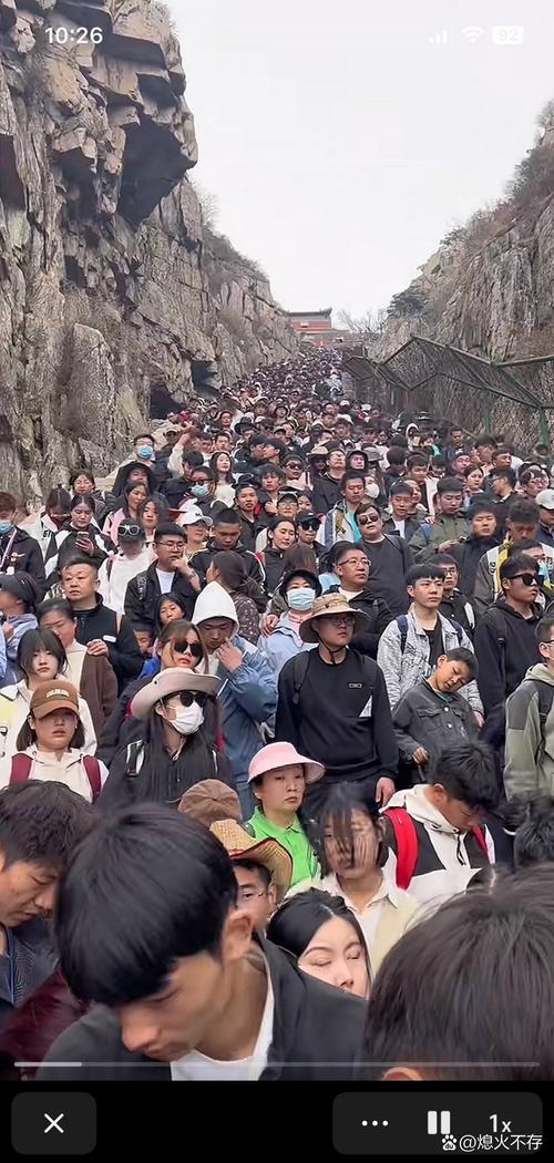 长假一群人带着绿豆游遍祖国