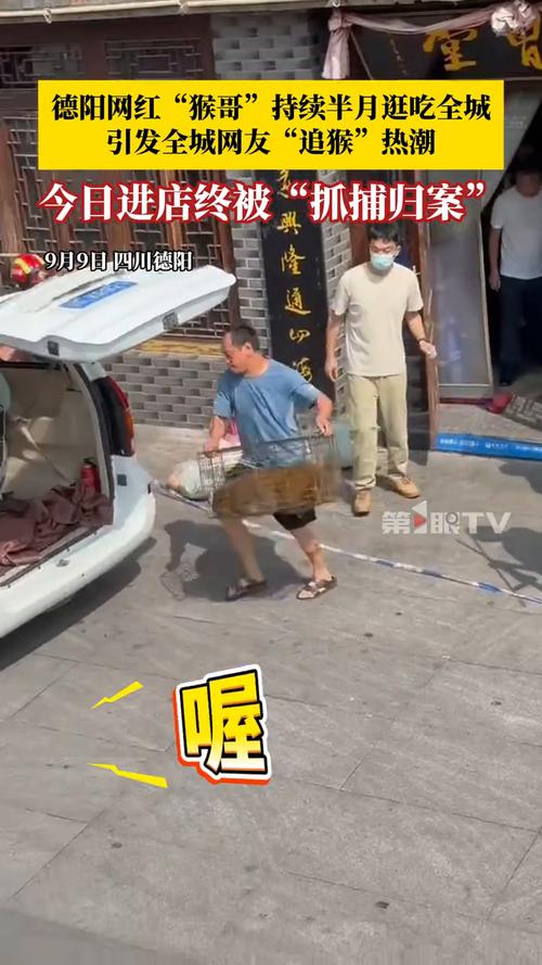 男子路边停车休息遭野猴入车袭击