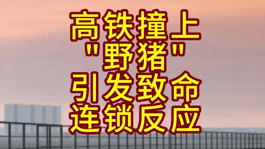 湖北松滋客运火车遭遇野猪撞击事件