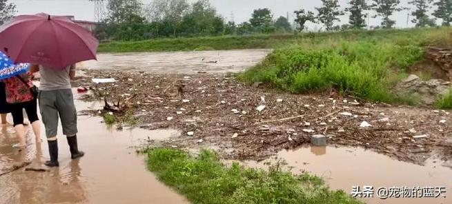 洛阳水库饮用水源地遭垃圾污染严重