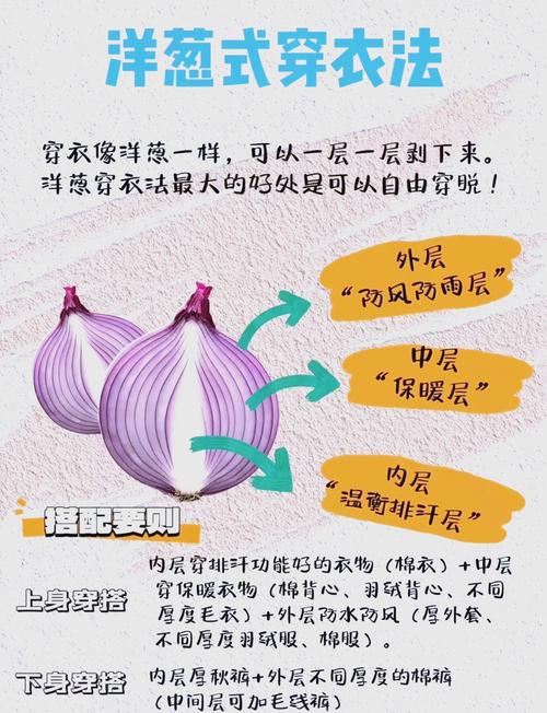 寒露过后洋葱穿衣法成保暖新选择