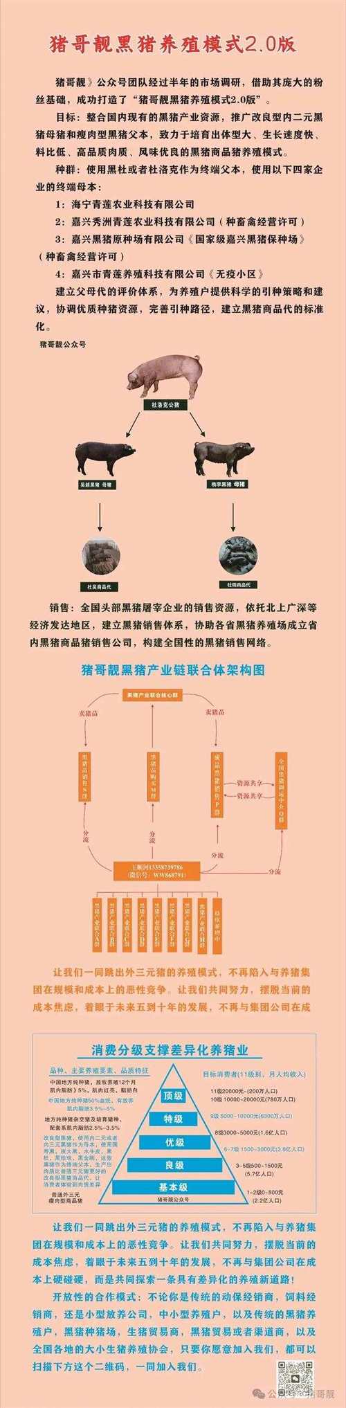 养猪场丢失20多头猪发现多支箭头