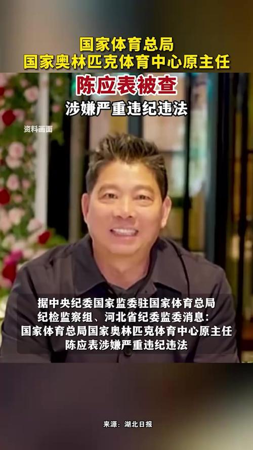 国家奥体中心原主任陈应表接受调查