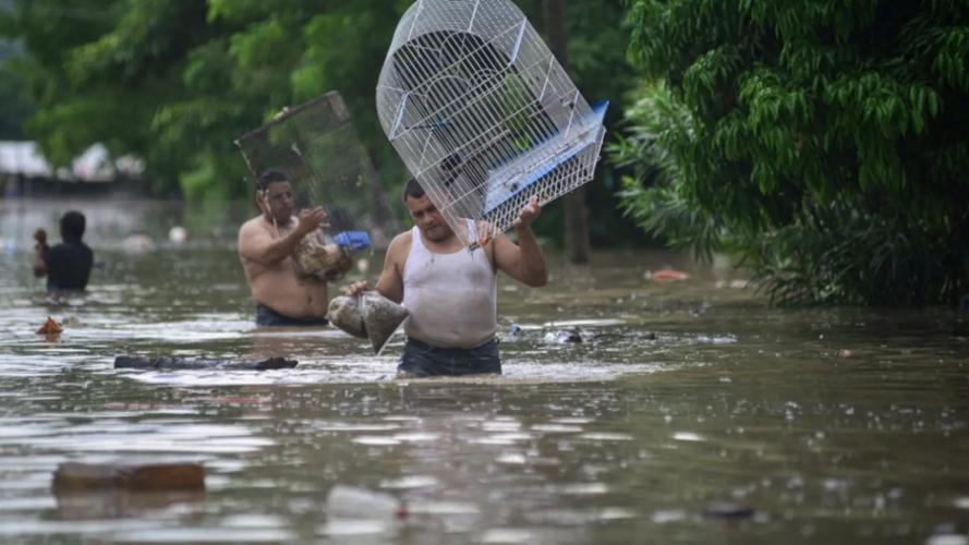 墨西哥强降雨灾害致28人死亡