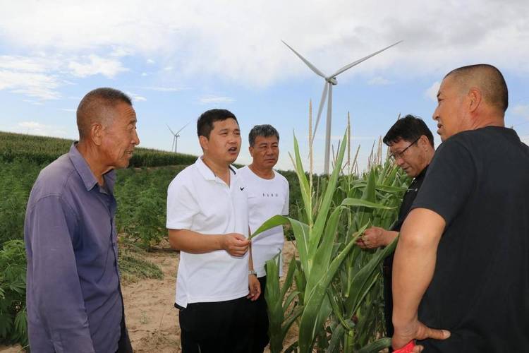 河南省委书记调研玉米种植现场，实测玉米含水量