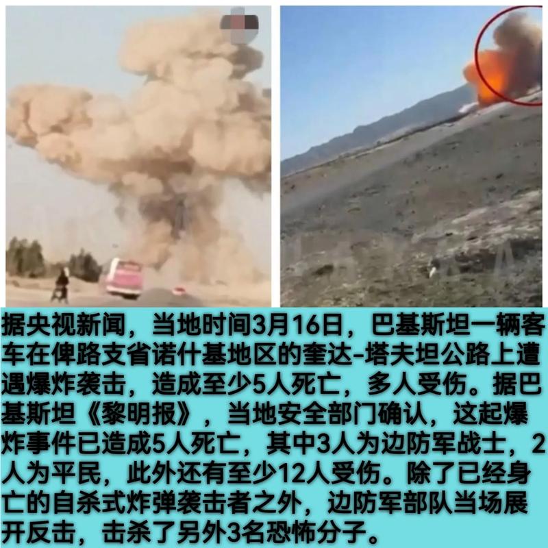 巴基斯坦军方:200余人在冲突中丧生