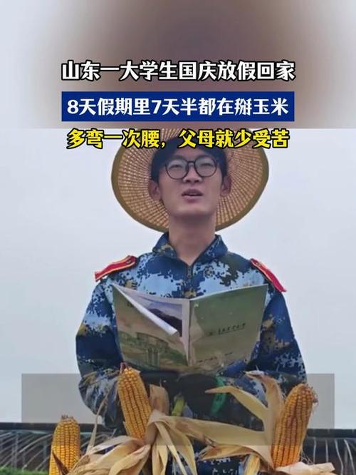 大学生假期玉米劳作，七天半的辛勤劳动之路