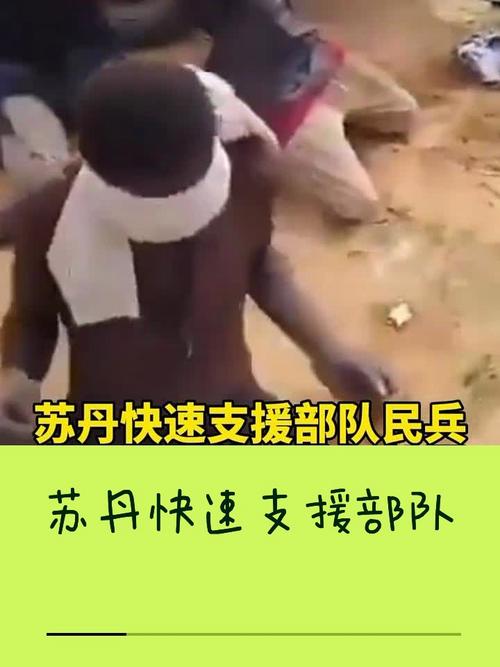 苏丹称击毙100余名快速支援部队成员