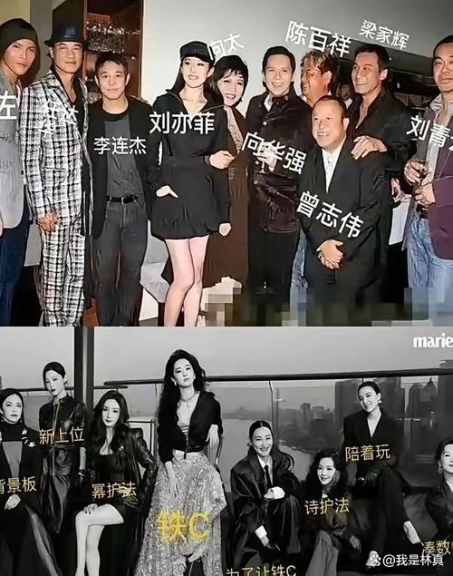 刘亦菲C位闪耀，力压影后荣登沸点榜榜首