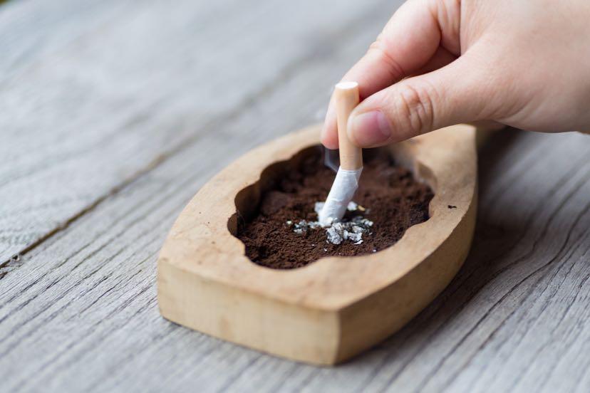 宠物药说明书提示，用药期间请勿吸烟饮酒，关爱宠物健康须知