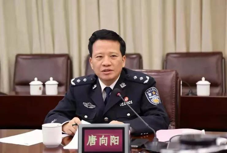 长沙原副市长唐向阳被捕，涉案细节曝光