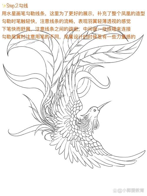 直拍直-20凌空画凤凰