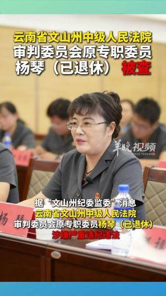 云南文山原专职委员杨琴涉嫌违纪被查
