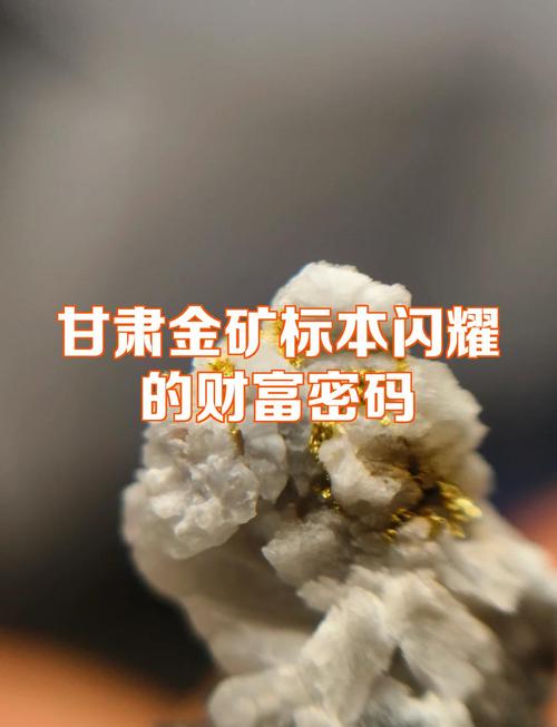 甘肃一地发现大型金矿 资源量超40吨