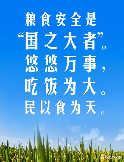 “始终绷紧粮食安全这根弦”