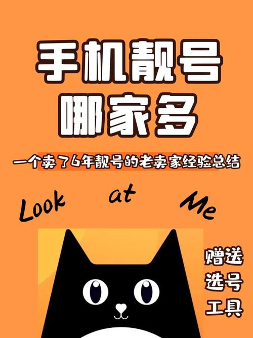 靓号大流量手机有哪些？