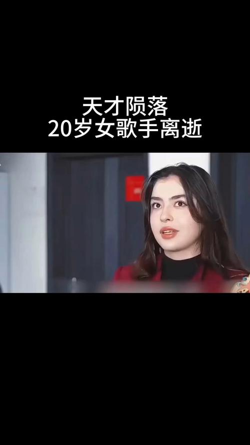 一个流量女歌手和她的幕后操控者