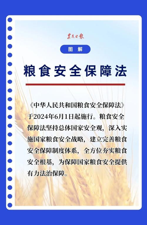 粮食安全弦紧绷不懈，守护粮食安全的责任与担当
