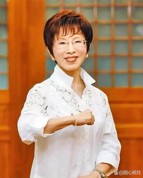 洪秀柱:支持跟我理念相同的人