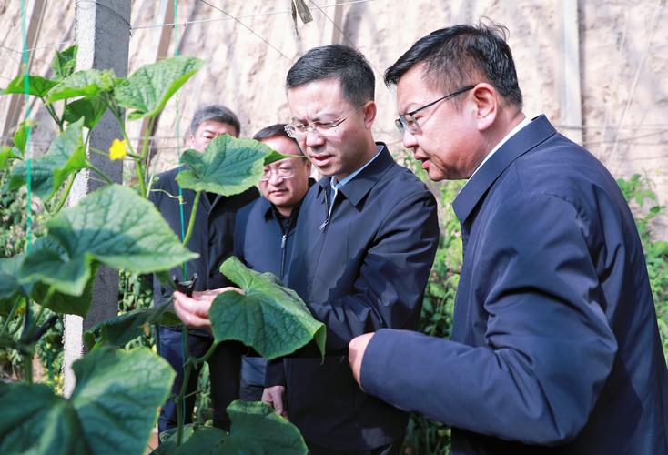 “村长”李锐已从湖南卫视离职