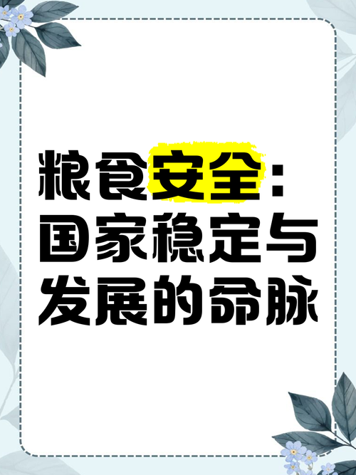 “始终绷紧粮食安全这根弦”