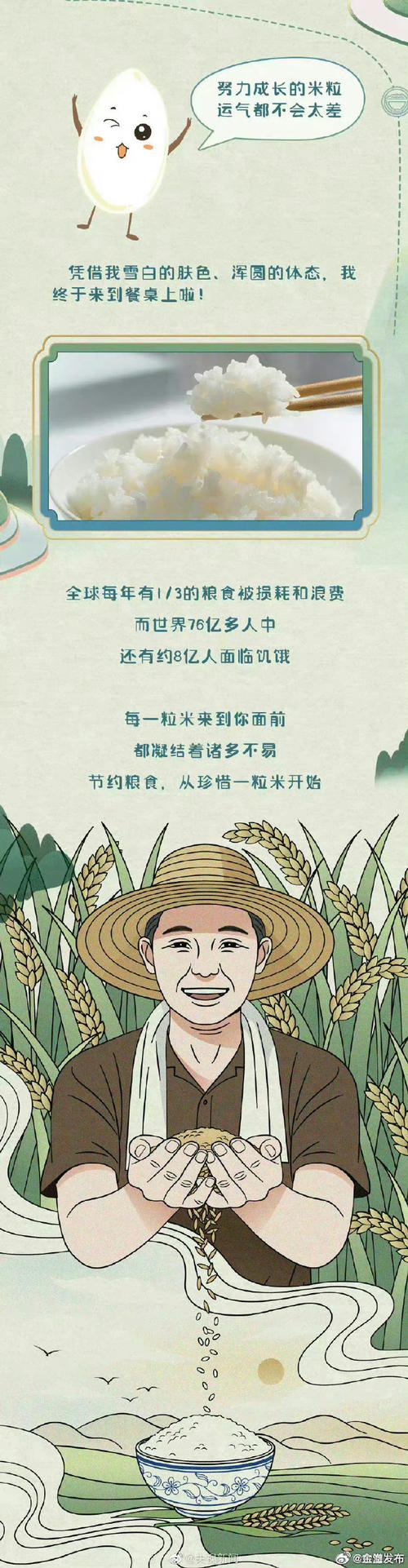 中国如何守护每一粒粮食，粮食安全战略解析