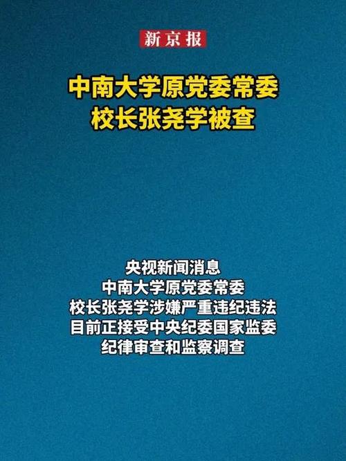 中南大学原校长张尧学被查