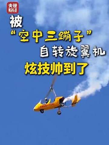 空中三蹦子炫技直博会,萌猛结合,技艺惊艳