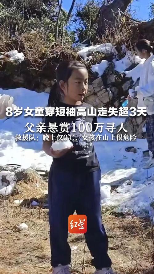 走失女孩获救背后:近千人跨省救援