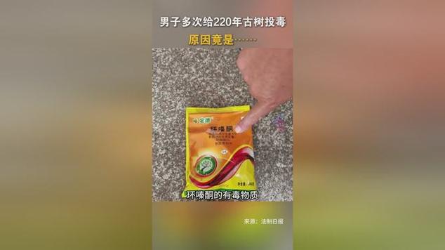 男子多次给220年古树投毒被控制