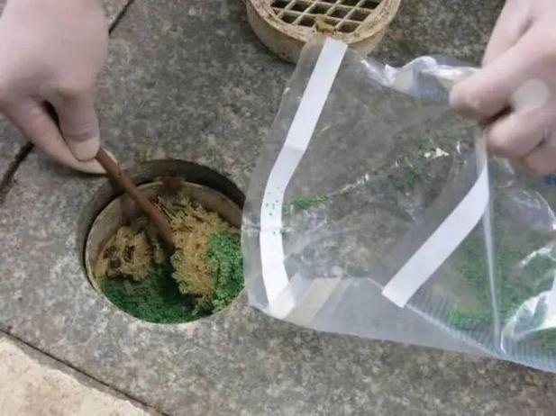 男子给古树投毒多次被控制