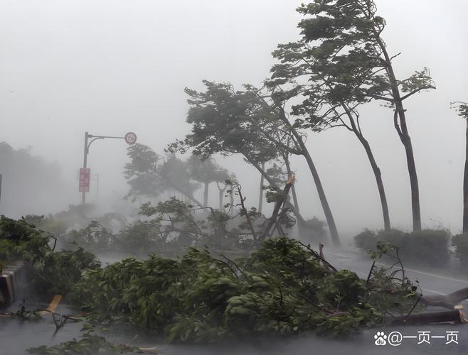 台风风神袭击菲律宾造成8人死亡
