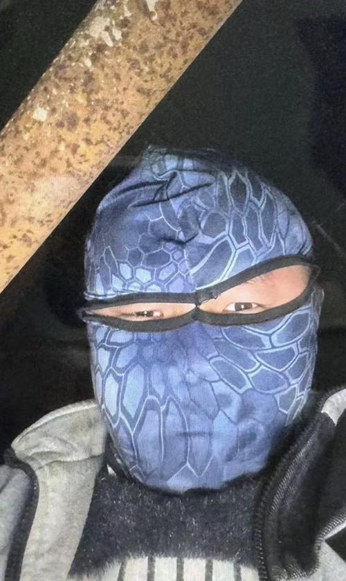 蒙面人持械抢劫!卢浮宫多件藏品被盗