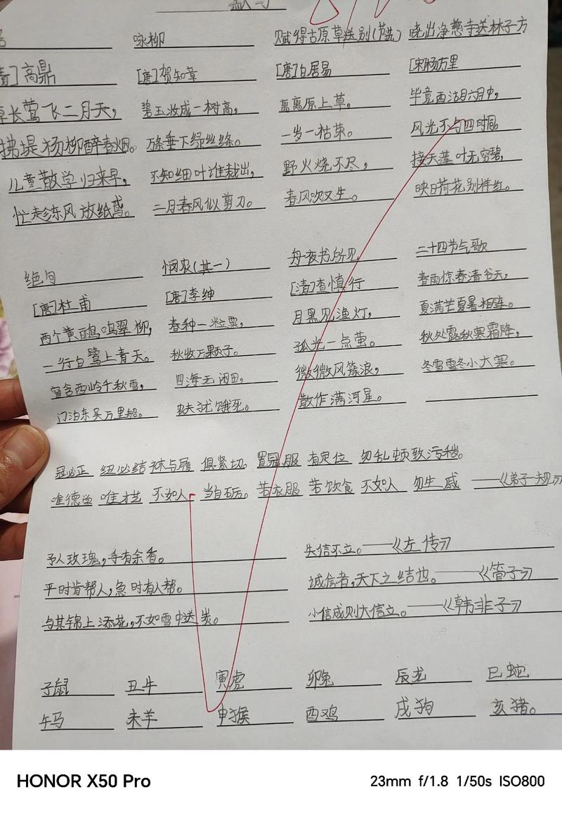 六个新字展现卓越成绩