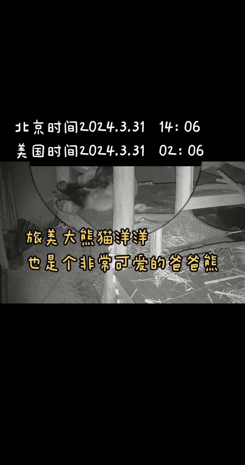 美国对北京时间的关注度上升原因探究