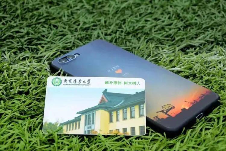 南林的校园卡套餐有哪些?它们如何办理?