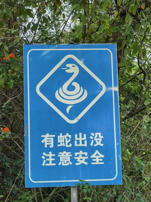 驴友登山发现大量蛇出没警示牌