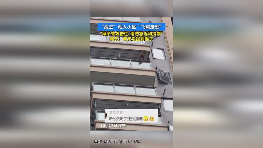 卢浮宫窃贼作案视频曝光