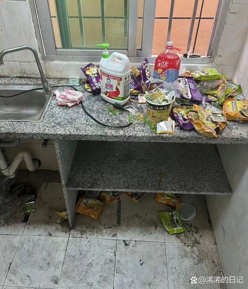 男子租房三年房间变垃圾堆