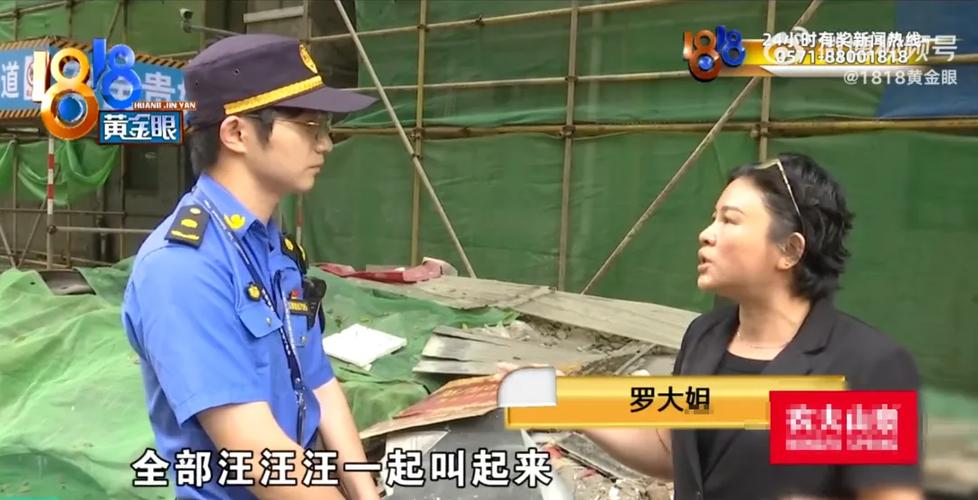 退休大爷把房子让给40条狗住