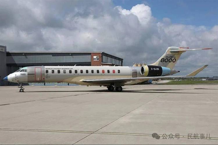 豪华公务机起拍价降至330万元起