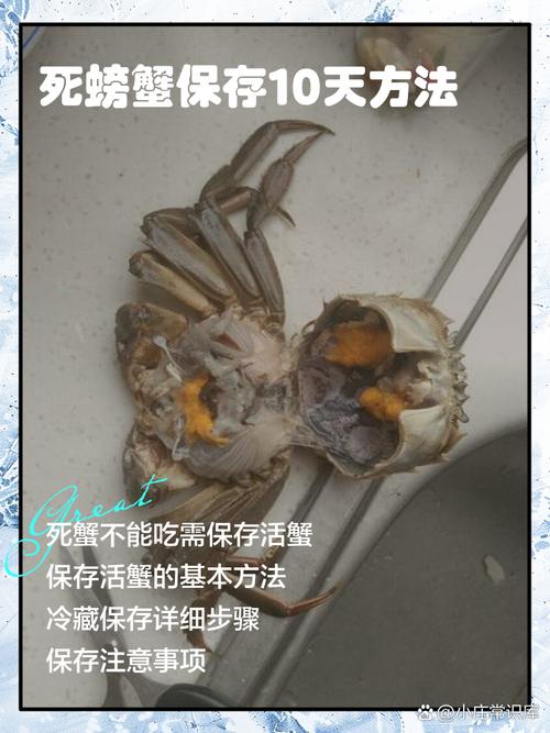 477元买16只螃蟹 收到2死蟹14臭蟹