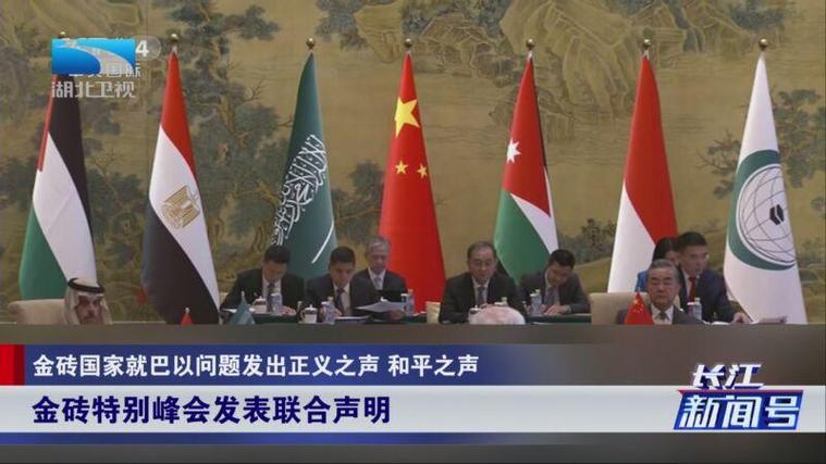 欧洲多国领导人发表联合声明