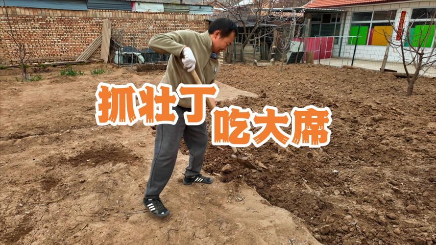 “下地干活式旅游”火了