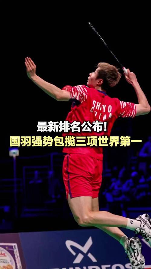 国羽横扫三项世界第一荣誉