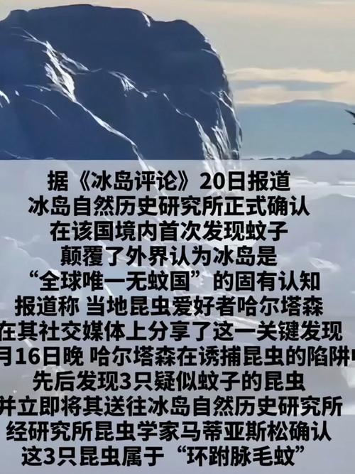 冰岛首次发现蚊子