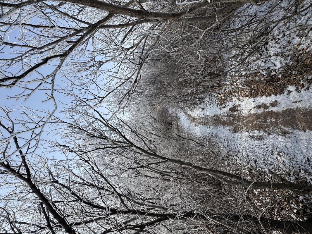 北京多区降雨,山区飘雪