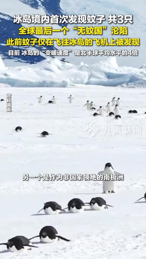 南极,最后的无蚊之地